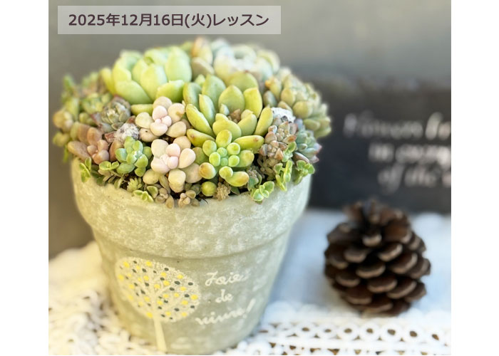 初心者向けの寄せ植え,親子鳥の鉢,多肉カフェ レッスン 多肉カフェ,多肉植物,アレンジメント,寄せ植え